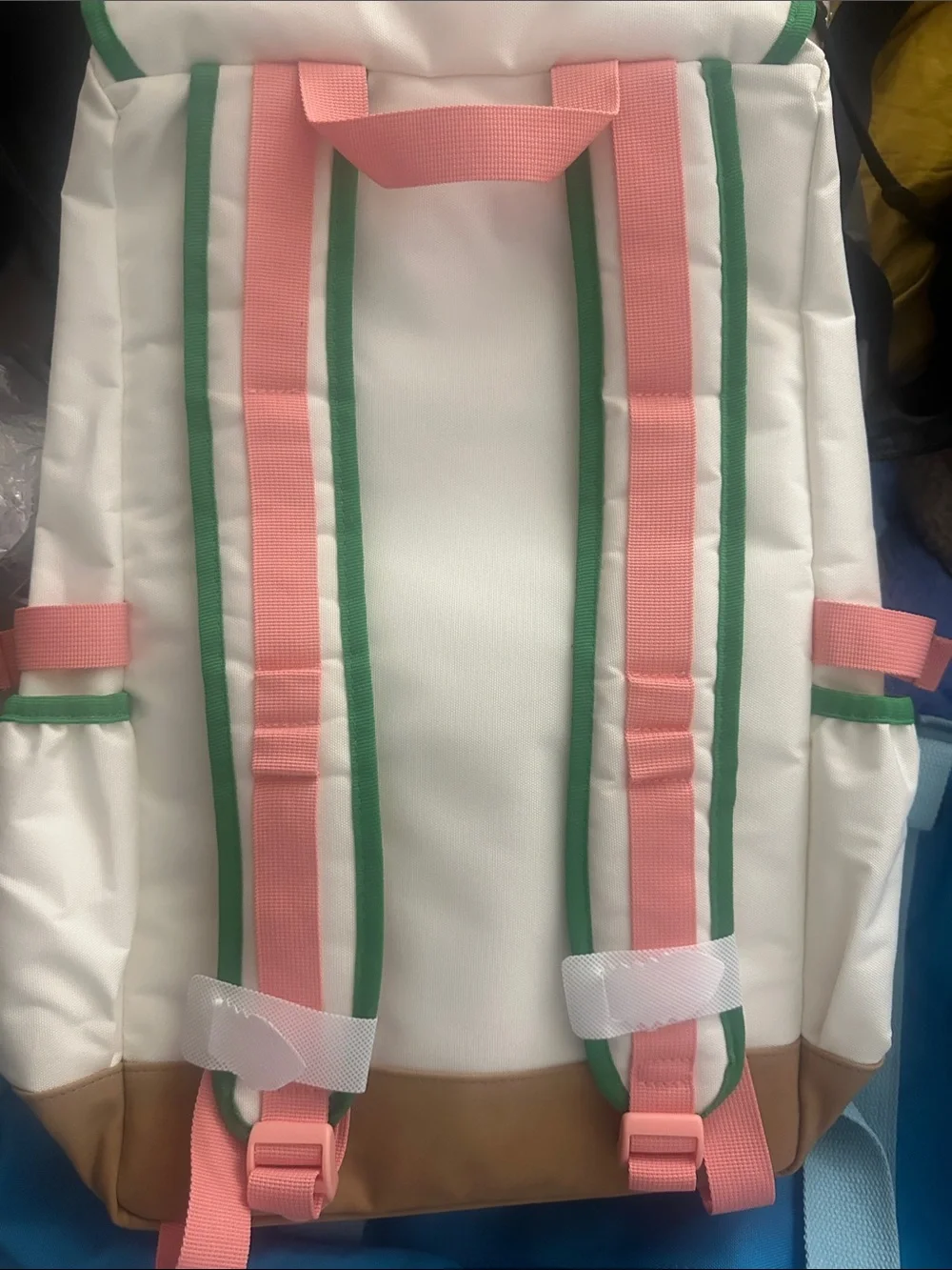 Camp Flog Gnaw Carnival 2025 White & Green Pet Backpack